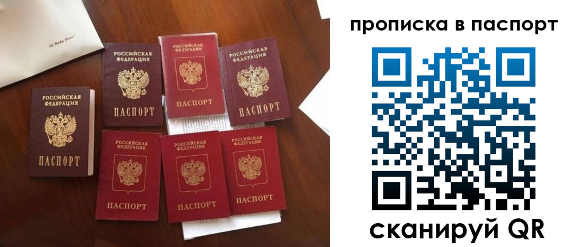 временная регистрация поиск в Волгограде